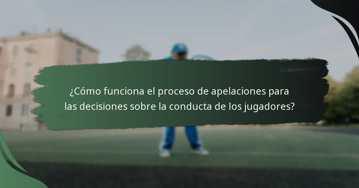 ¿Cómo funciona el proceso de apelaciones para las decisiones sobre la conducta de los jugadores?