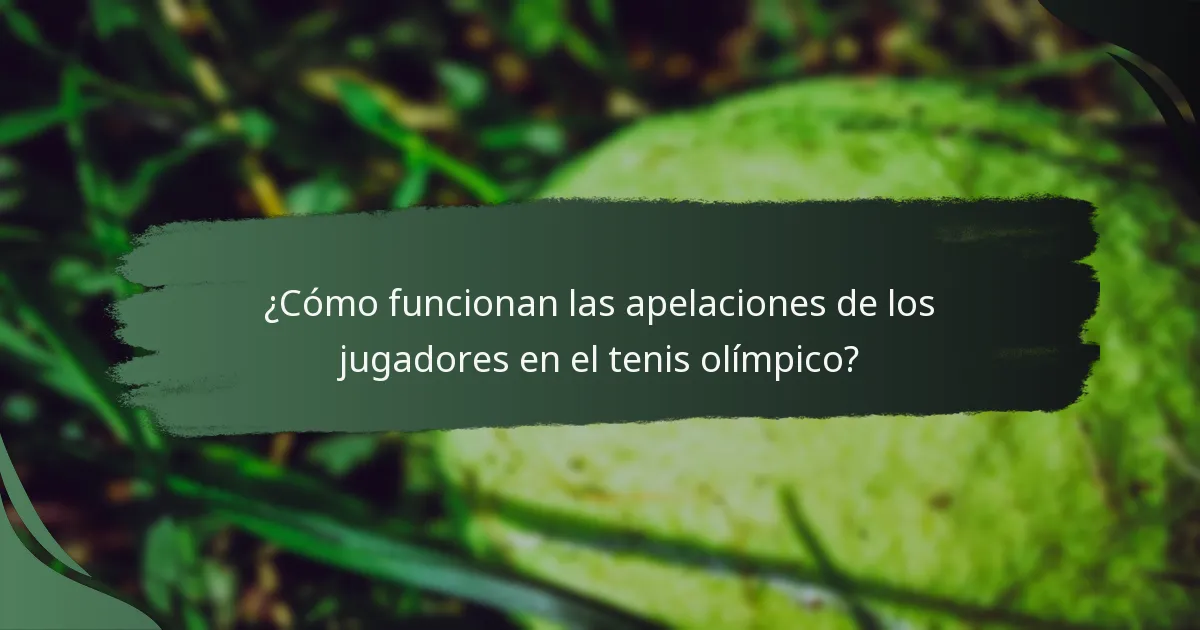 ¿Cómo funcionan las apelaciones de los jugadores en el tenis olímpico?