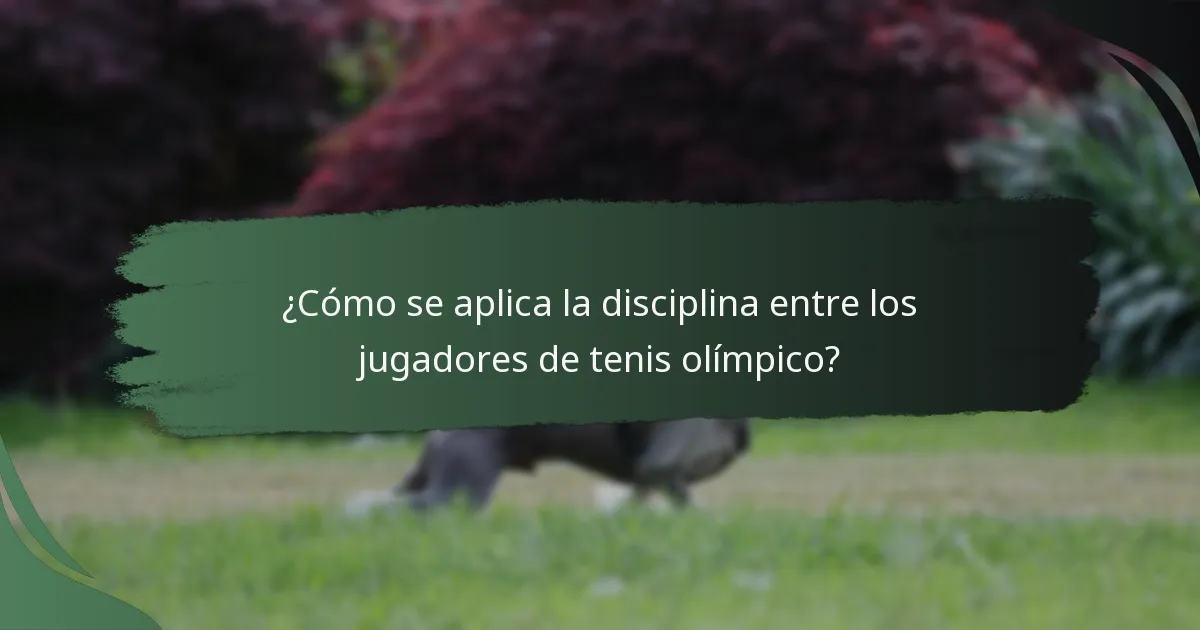 ¿Cómo se aplica la disciplina entre los jugadores de tenis olímpico?
