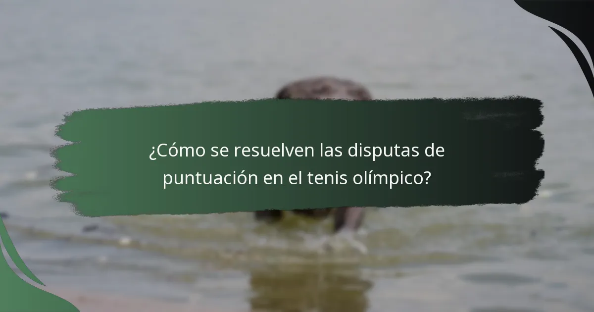¿Cuáles son las responsabilidades de los árbitros en el tenis olímpico?