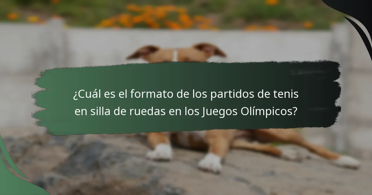 ¿Qué adaptaciones se realizan para el tenis en silla de ruedas en los Juegos Olímpicos?