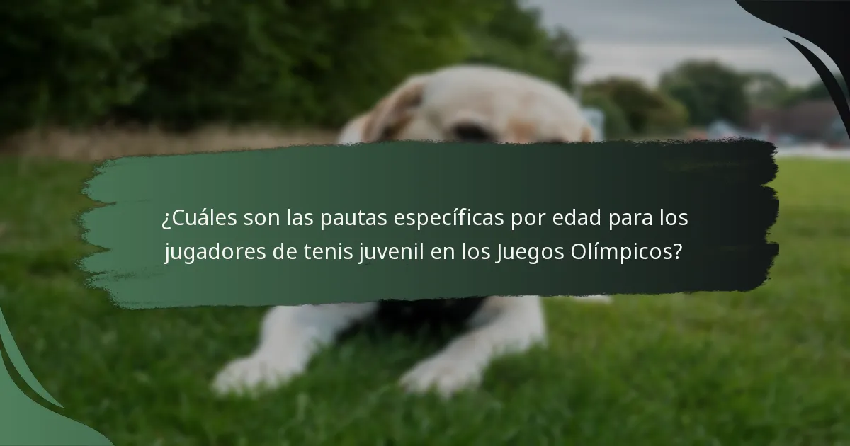 ¿Cómo puede el mentorazgo influir en los jóvenes tenistas en entornos olímpicos?