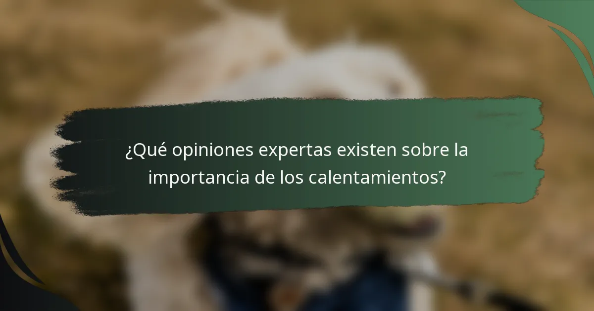 ¿Qué opiniones expertas existen sobre la importancia de los calentamientos?